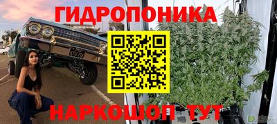 крисы Бугуруслан