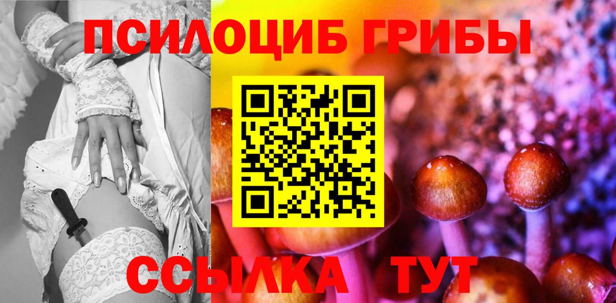 Псилоцибиновые грибы Psilocybe  Вход с VPN  купить наркоту  Глазов 
