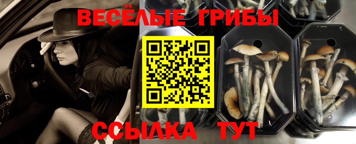 Галлюциногенные грибы мухоморы Глазов